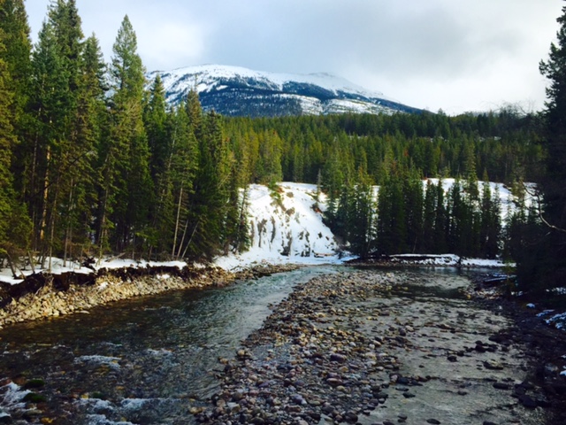 Maligne Canyon Hike