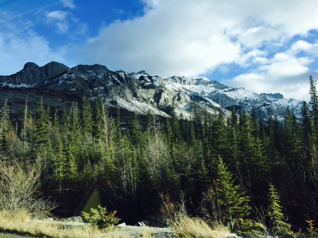 Mountains and Trees