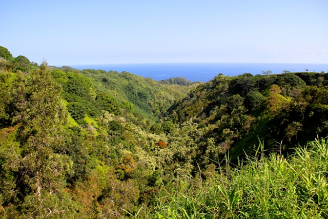 Maui Valley