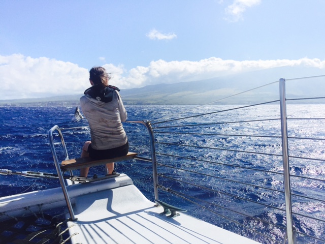 Photographing Whales