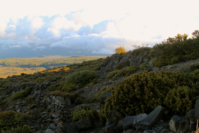 Upcountry Maui