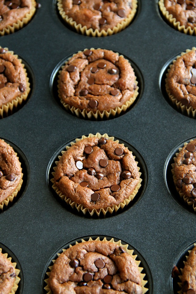 Double Chocolate Greek Yogurt Muffins -- you'd never believe that these soft and tender muffins are made with NO flour, butter, or oil! | runningwithspoons.com #recipe #healthy