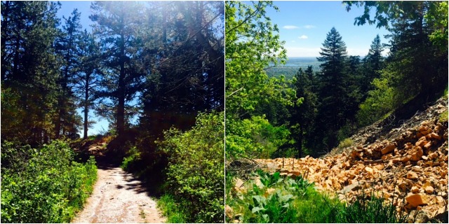 Mountain Trails