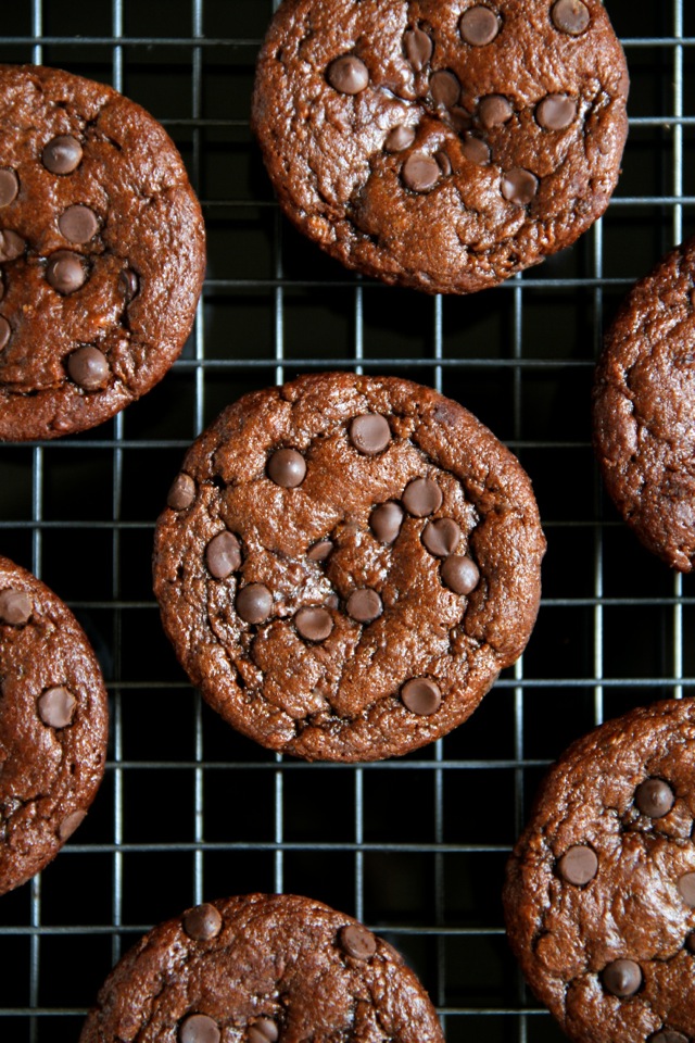 Flourless Chocolate Zucchini Muffins -- gluten-free, grain-free, oil-free, dairy-free, refined sugar-free, but so soft and delicious that you'd never be able to tell! || runningwithspoons.com