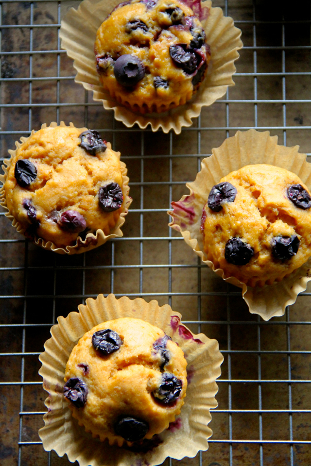 Lemon Blueberry Greek Yogurt Muffins -- soft and tender muffins made with Greek yogurt and loaded with blueberries. These healthy muffins make a PERFECT breakfast or snack! || runningwithspoons.com