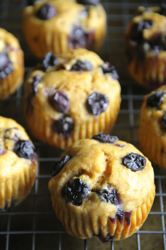 Lemon Blueberry Greek Yogurt Muffins -- soft and tender muffins made with Greek yogurt and loaded with blueberries. These healthy muffins make a PERFECT breakfast or snack! || runningwithspoons.com