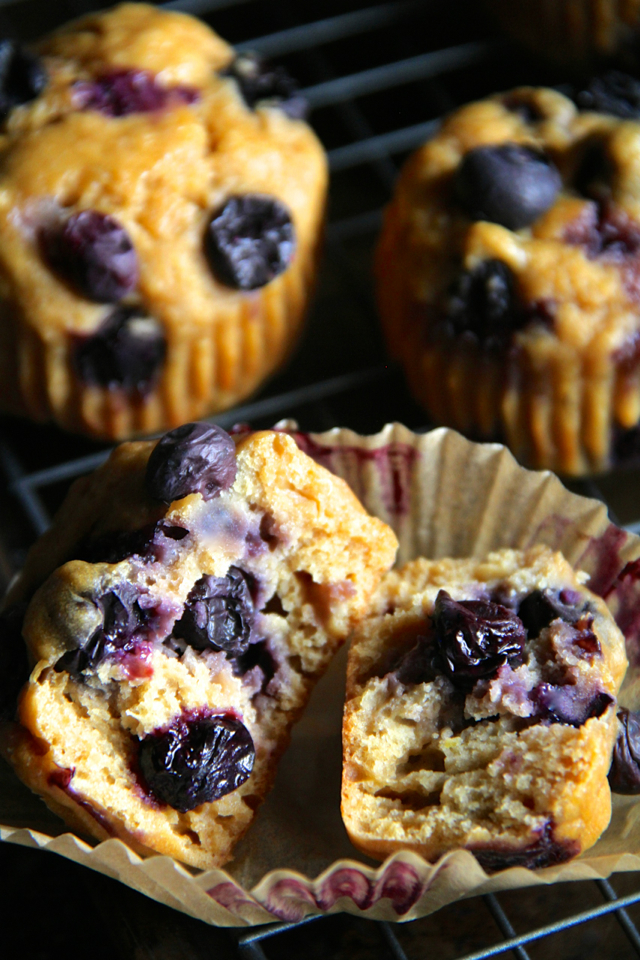 Lemon Blueberry Greek Yogurt Muffins -- soft and tender muffins made with Greek yogurt and loaded with blueberries. These healthy muffins make a PERFECT breakfast or snack! || runningwithspoons.com