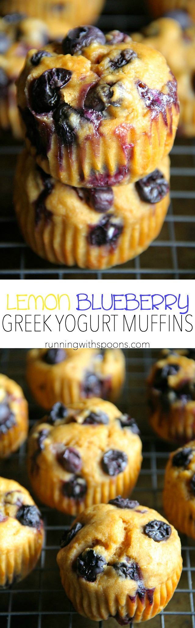 Lemon Blueberry Greek Yogurt Muffins -- soft and tender muffins made with Greek yogurt and loaded with blueberries. These healthy muffins make a PERFECT breakfast or snack! || runningwithspoons.com