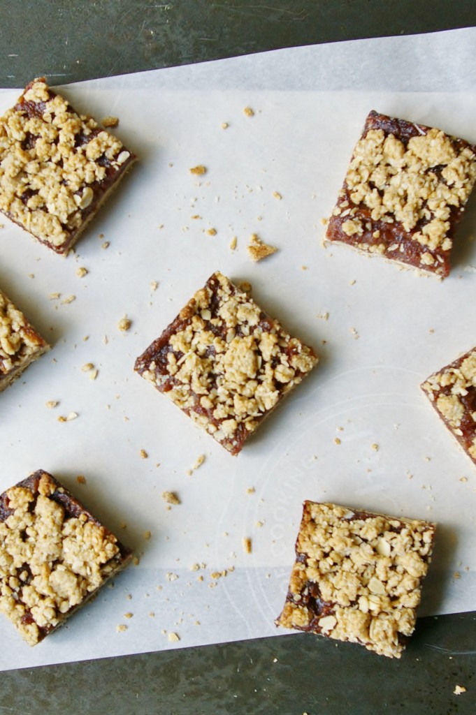 oat-flax-date-bars