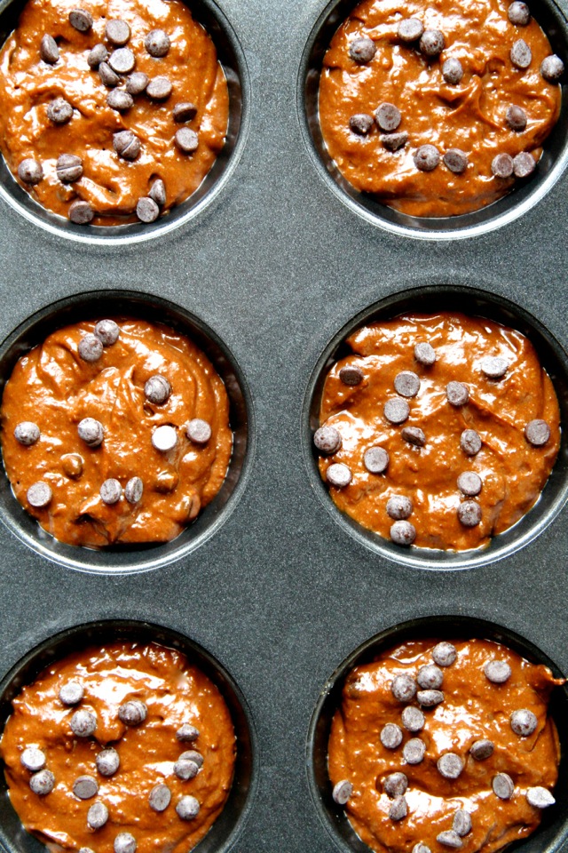 Flourless Chocolate Pumpkin Muffins -- gluten-free, grain-free, oil-free, dairy-free, refined sugar-free, but so soft and delicious that you'd never be able to tell! || runningwithspoons.com #pumpkin #chocolate #fall