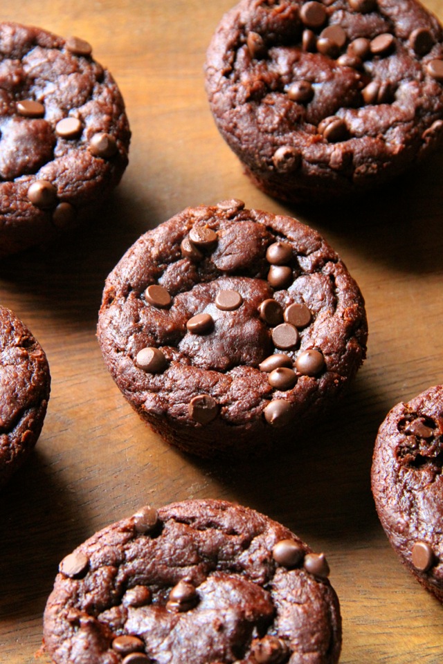 Flourless Chocolate Pumpkin Muffins -- gluten-free, grain-free, oil-free, dairy-free, refined sugar-free, but so soft and delicious that you'd never be able to tell! || runningwithspoons.com #pumpkin #chocolate #fall