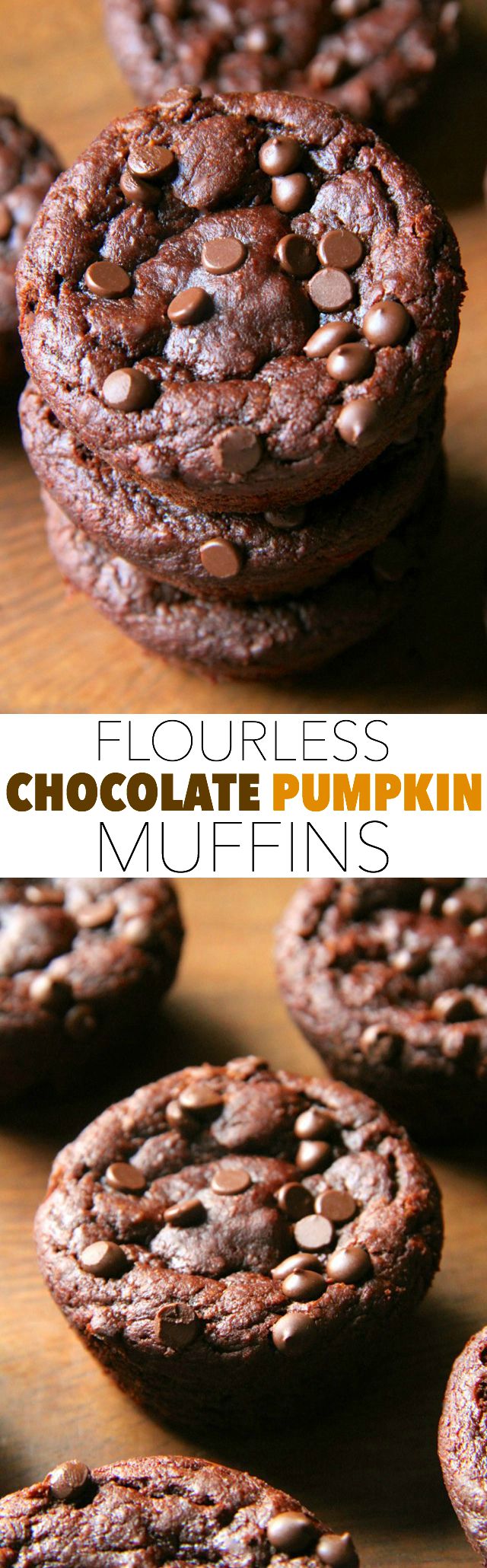 Flourless Chocolate Pumpkin Muffins -- gluten-free, grain-free, oil-free, dairy-free, refined sugar-free, but so soft and delicious that you'd never be able to tell! || runningwithspoons.com #pumpkin #chocolate #fall