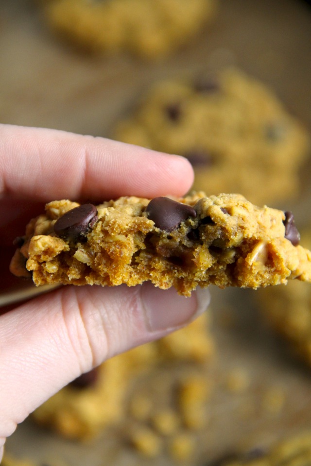 Flourless Pumpkin Oatmeal Cookies -- made without butter or flour, but so soft and chewy that you'd never be able to tell! || runningwithspoons.com #pumpkin #cookies #vegan #fall