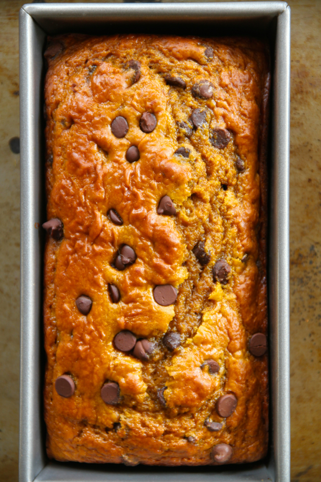 Greek Yogurt Pumpkin Banana Bread -- made without butter or oil, but so soft and tender that you'd never be able to tell! A healthy and delicious snack! || runningwithspoons.com #pumpkin #banana #fall