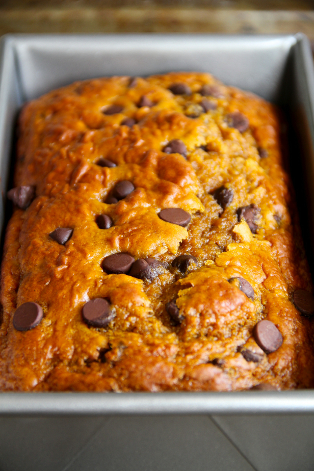 Greek Yogurt Pumpkin Banana Bread -- made without butter or oil, but so soft and tender that you'd never be able to tell! A healthy and delicious snack! || runningwithspoons.com #pumpkin #banana #fall