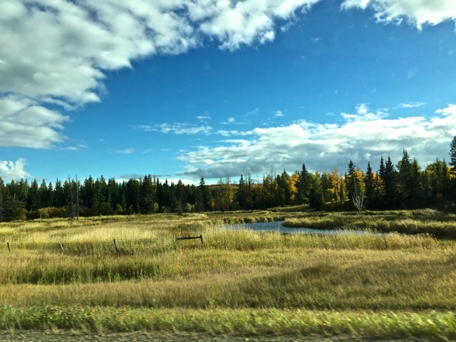 Prairies Are Home