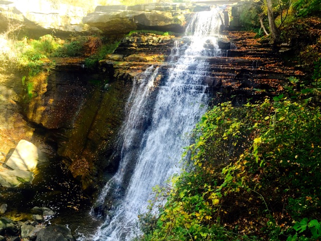 Brandywine Falls