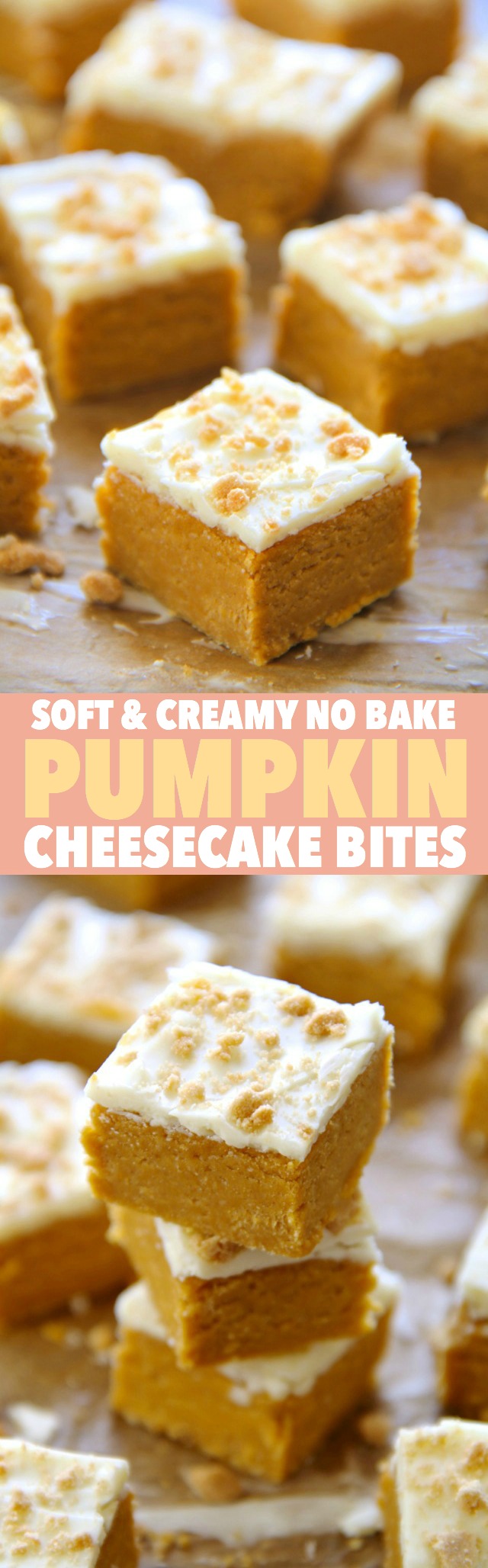 These soft and creamy No Bake Pumpkin Cheesecake Bites combine the tanginess of cheesecake with the spicy sweetness of pumpkin pie. Easily made gluten-free or vegan depending on your dietary needs, they're an irresistible fall treat that everyone will love! || runnningwithspoons.com #pumpkin #cheesecake #nobake