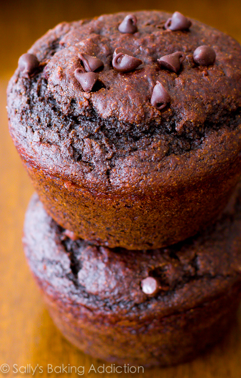 Skinny Chocolate Muffins