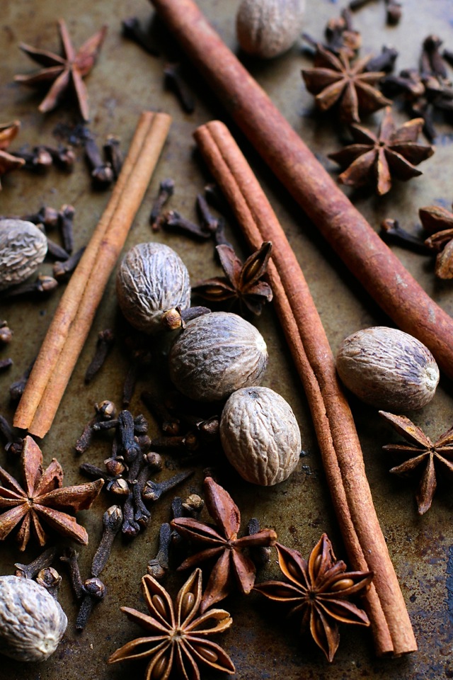 Warming Spices -- Nutmeg, Star Anise, Cloves, and Cinnamon