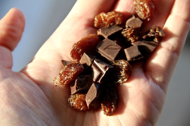 Chocolate Raisins