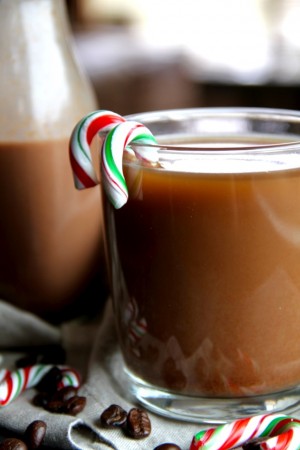 peppermint mocha creamer peppermint mocha creamer