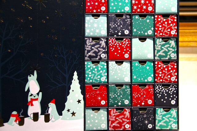 Davids Tea Advent Calendar