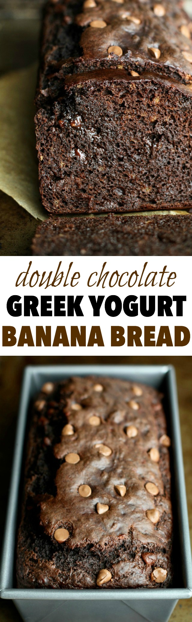 This Double Chocolate Greek Yogurt Banana Bread is LOADED with chocolate flavour, and so soft and tender that you'd never be able to tell it's made with NO butter or oil! || runningwithspoons.com #chocolate #healthy