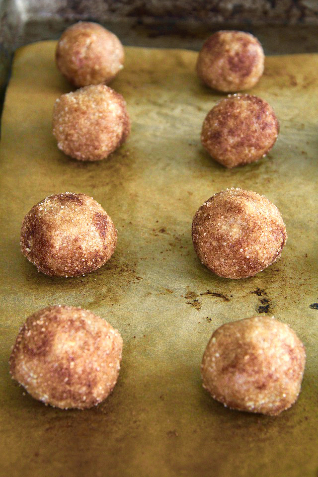 These Grain Free Snickerdoodles have the same soft texture and buttery cinnamon sugar taste of a classic snickerdoodle, but are made without flour, butter, eggs, or refined sugar! | runningwiithspoons.com #vegan #paleo #cookies