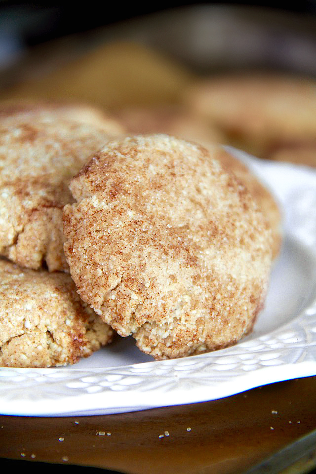 These Grain Free Snickerdoodles have the same soft texture and buttery cinnamon sugar taste of a classic snickerdoodle, but are made without flour, butter, eggs, or refined sugar! | runningwiithspoons.com #vegan #paleo #cookies
