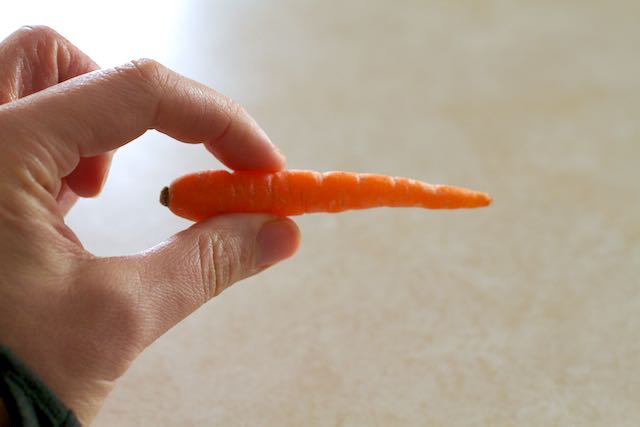 Baby Carrot