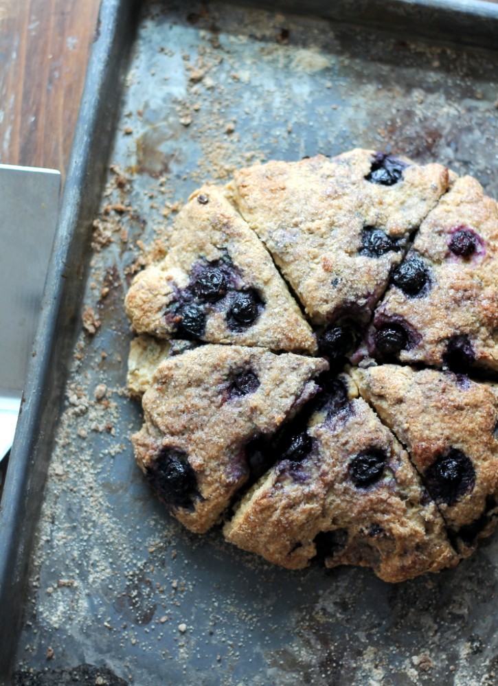 Blueberry Greek Yogurt Scones