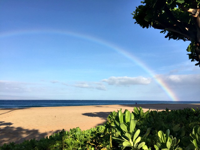 Maui Rainbow