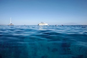 Snorkelling in Turtle Town