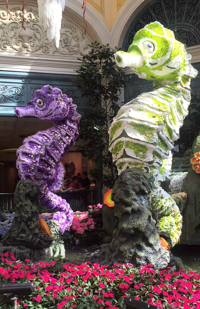 Bellagio Seahorses