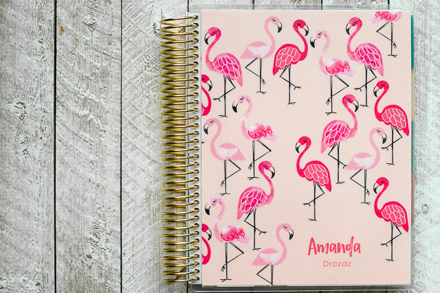 Erin Condren Life Planner New Cover