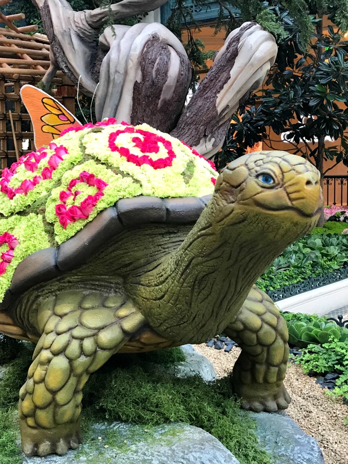 Flower Turtle