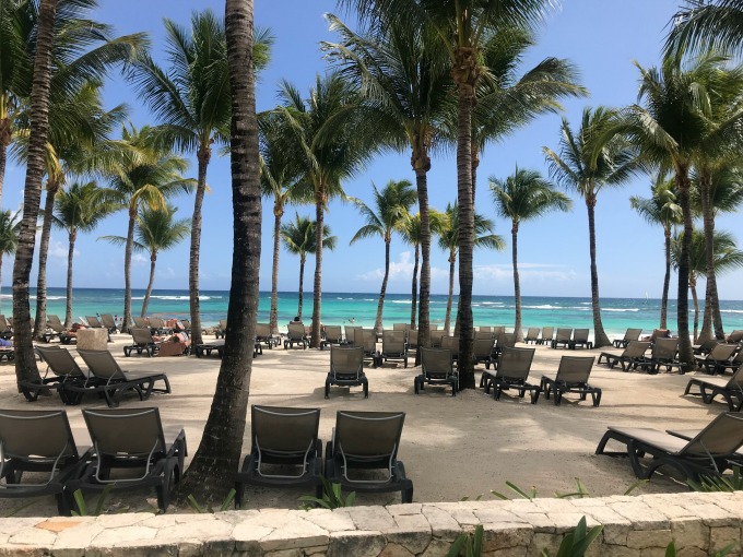 Palm Trees on the Beach2