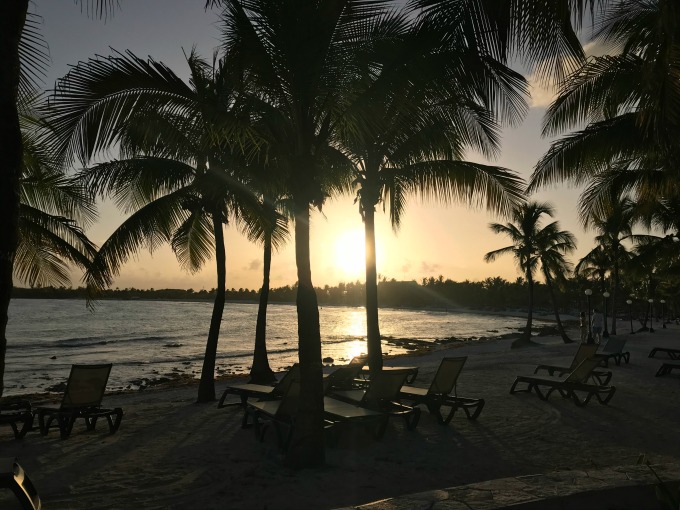 Palm Trees on the Beach3