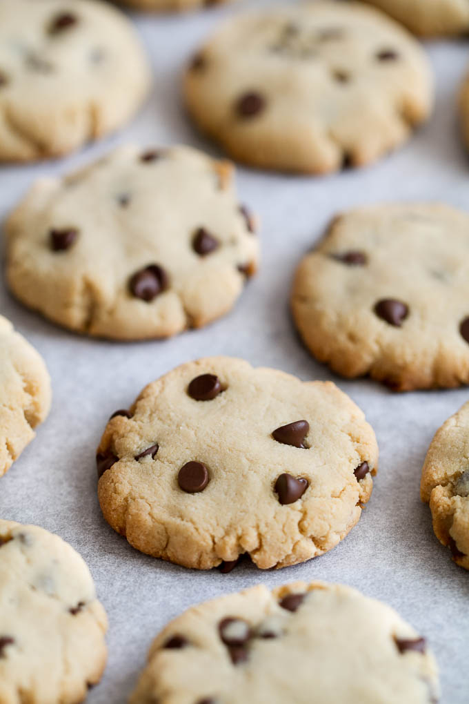 These Grain Free Vegan Chocolate Chip Cookies have the same texture and taste as a classic chocolate chip cookie, but are made without flour, butter, eggs, or refined sugar! | runningwithspoons.com #paleo #vegan #glutenfree #recipe